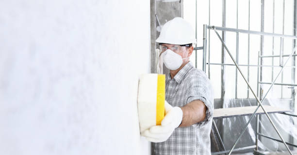  , USA Mold Removal Services Pros